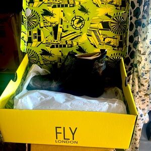 FLY LONDON WOMENS BOOTIE NEW IN BOX
